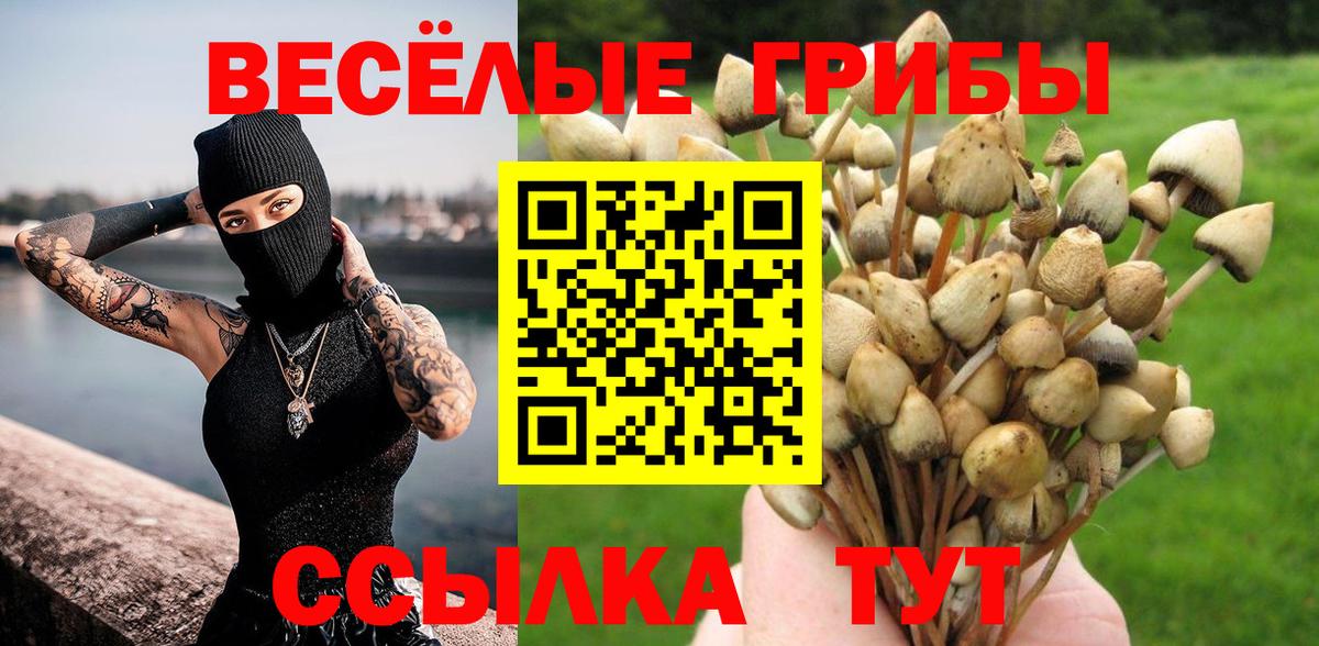 Галлюциногенные грибы Psilocybe  Галлюциногенные грибы ЛСД  Свободный  Вход с VPN 